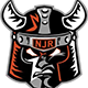 New Jersey Renegades | USPHL Premier Logo