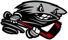 Palm Beach Typhoon | USPHL Premier Logo