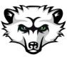Bearcat Junior Hockey Club | USPHL Premier Logo